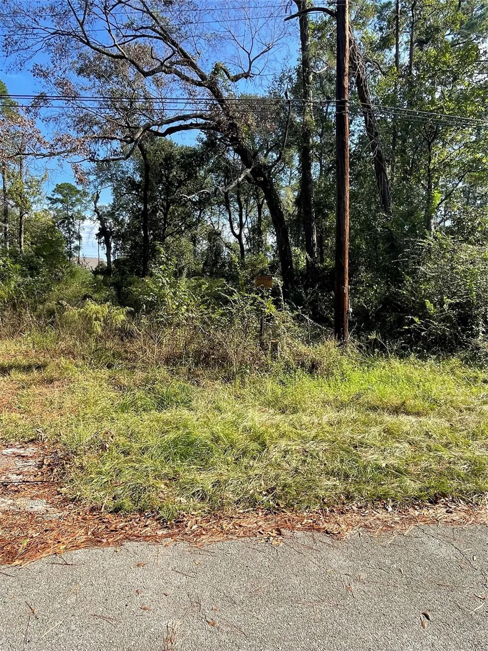 Overcup Drive Spring, TX 77389