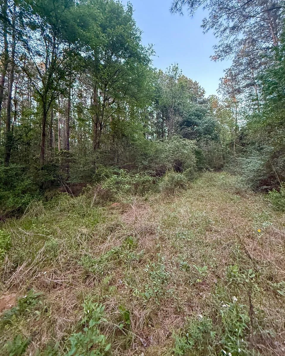 1 Sh 75 South Huntsville, TX 77340