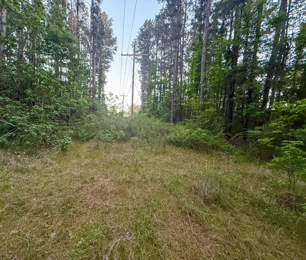 1 Sh 75 South Huntsville, TX 77340