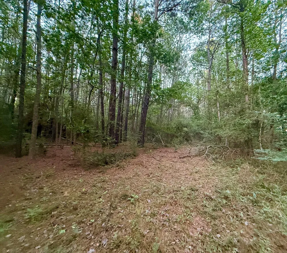 1 Sh 75 South Huntsville, TX 77340