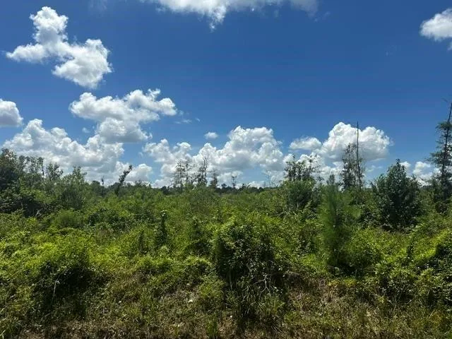 Piney Point Lane Beaumont, TX 77708