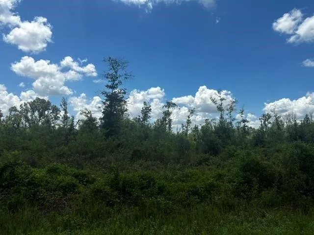 Piney Point Lane Beaumont, TX 77708