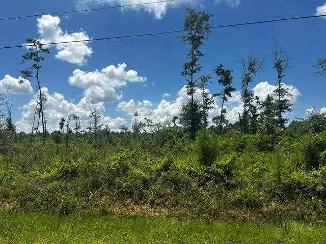 Piney Point Lane Beaumont, TX 77708