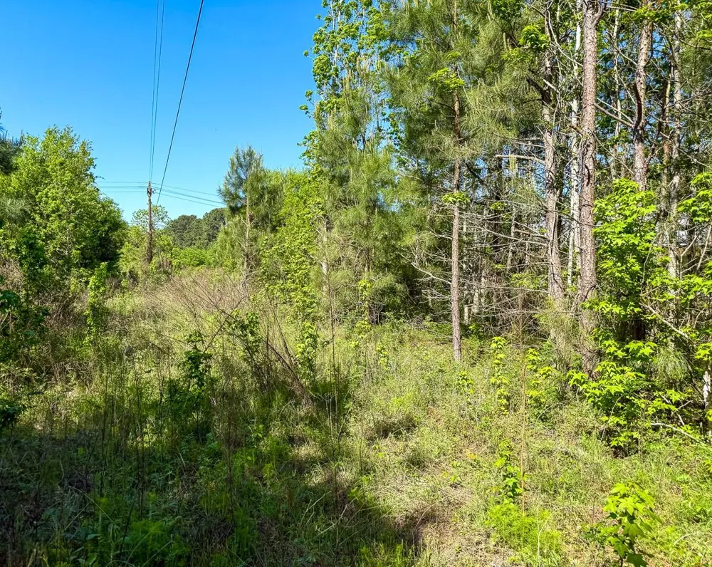 Old Houston Rd Huntsville, TX 77340