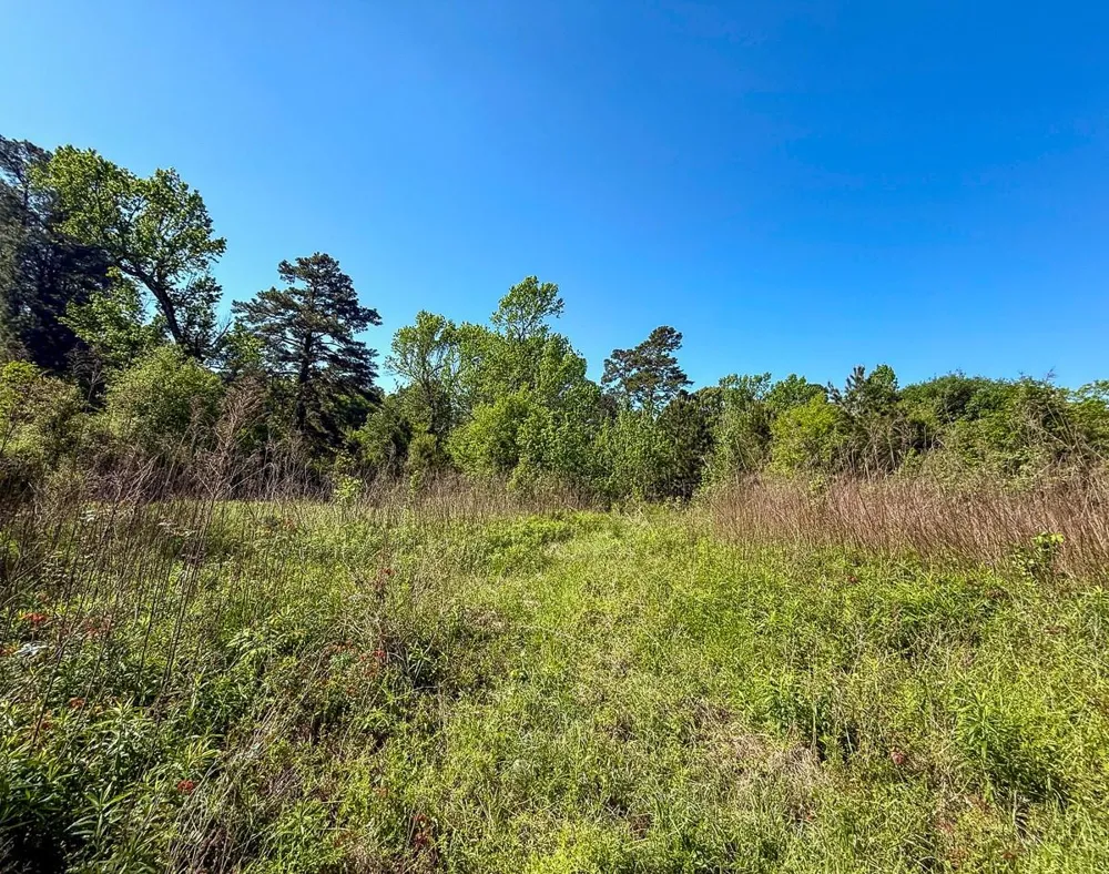Old Houston Rd Huntsville, TX 77340