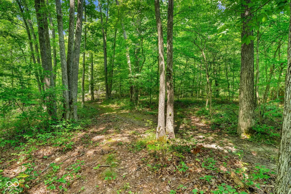 4224 Helmsburg Road Nashville, IN 47448