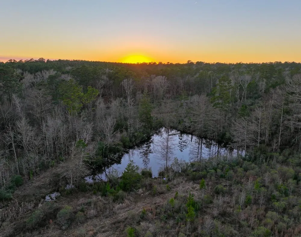 301 Paul Poe Road Livingston, TX 77351