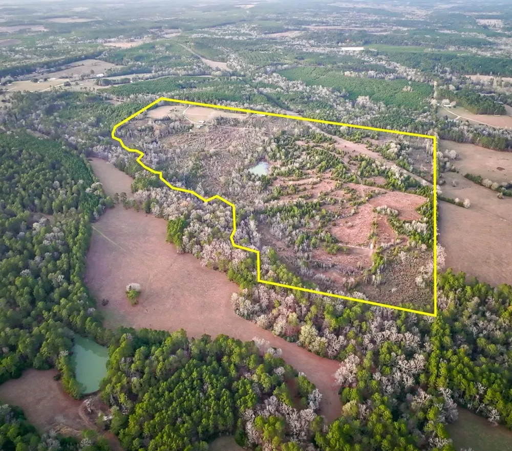 301 Paul Poe Road Livingston, TX 77351