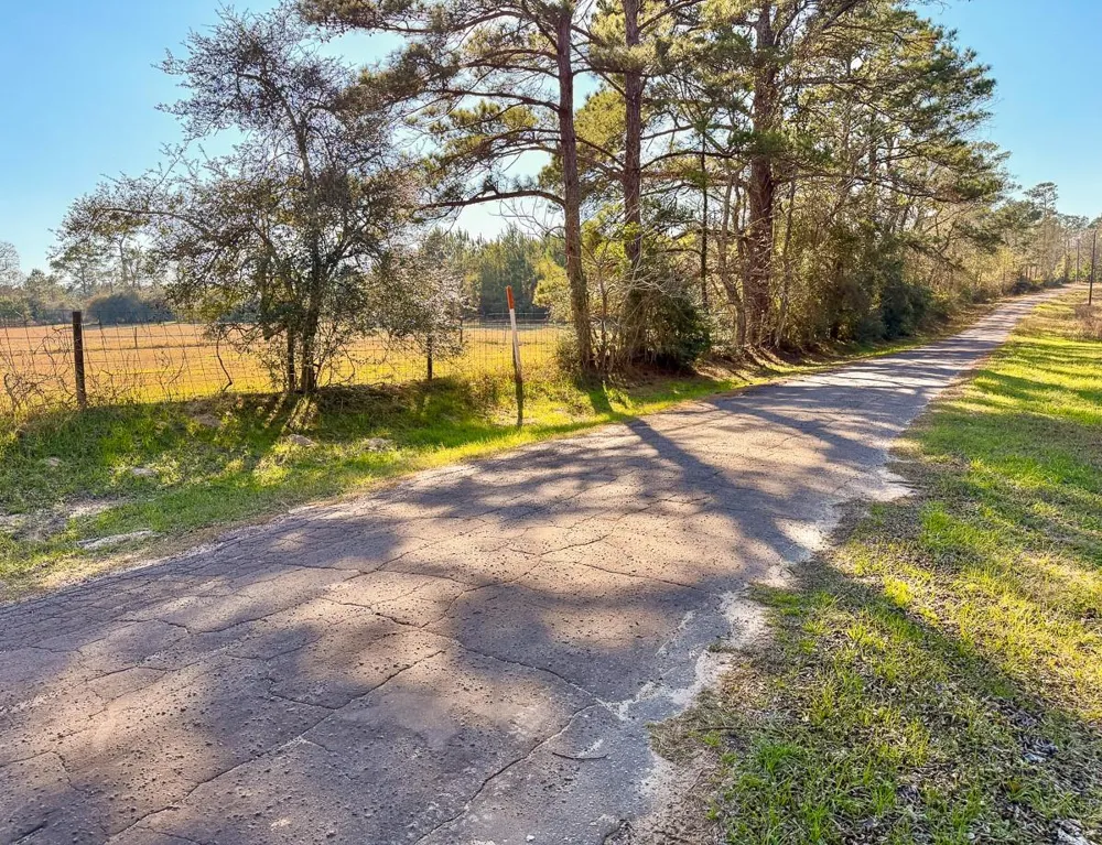 301 Paul Poe Road Livingston, TX 77351