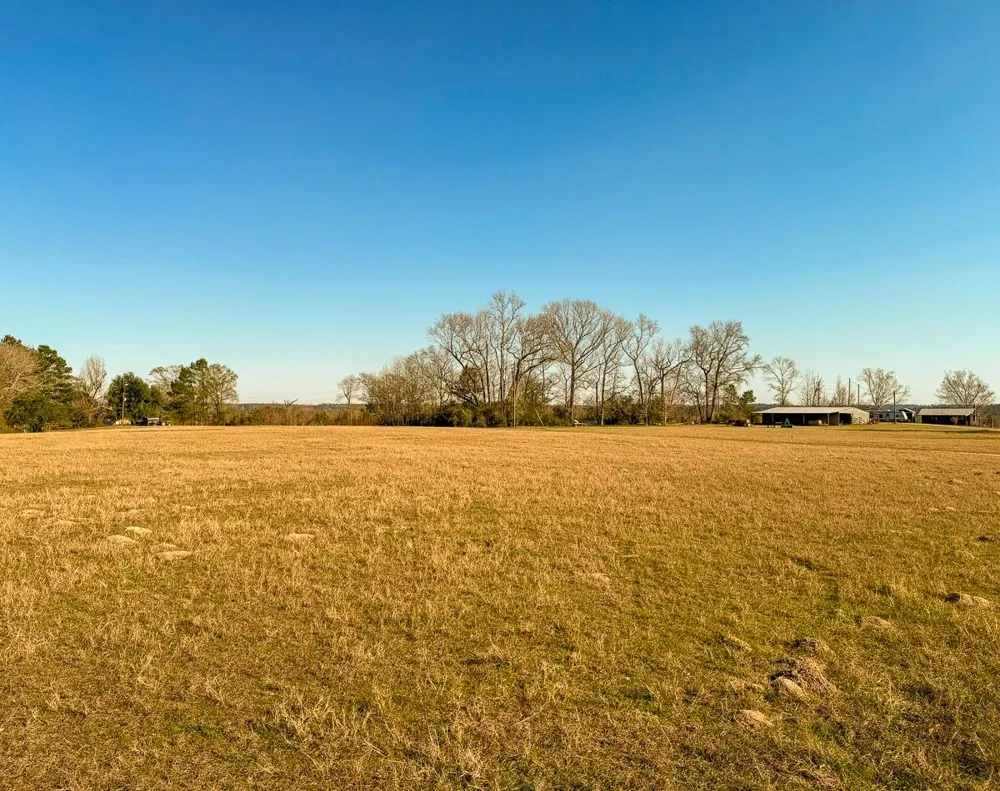 301 Paul Poe Road Livingston, TX 77351