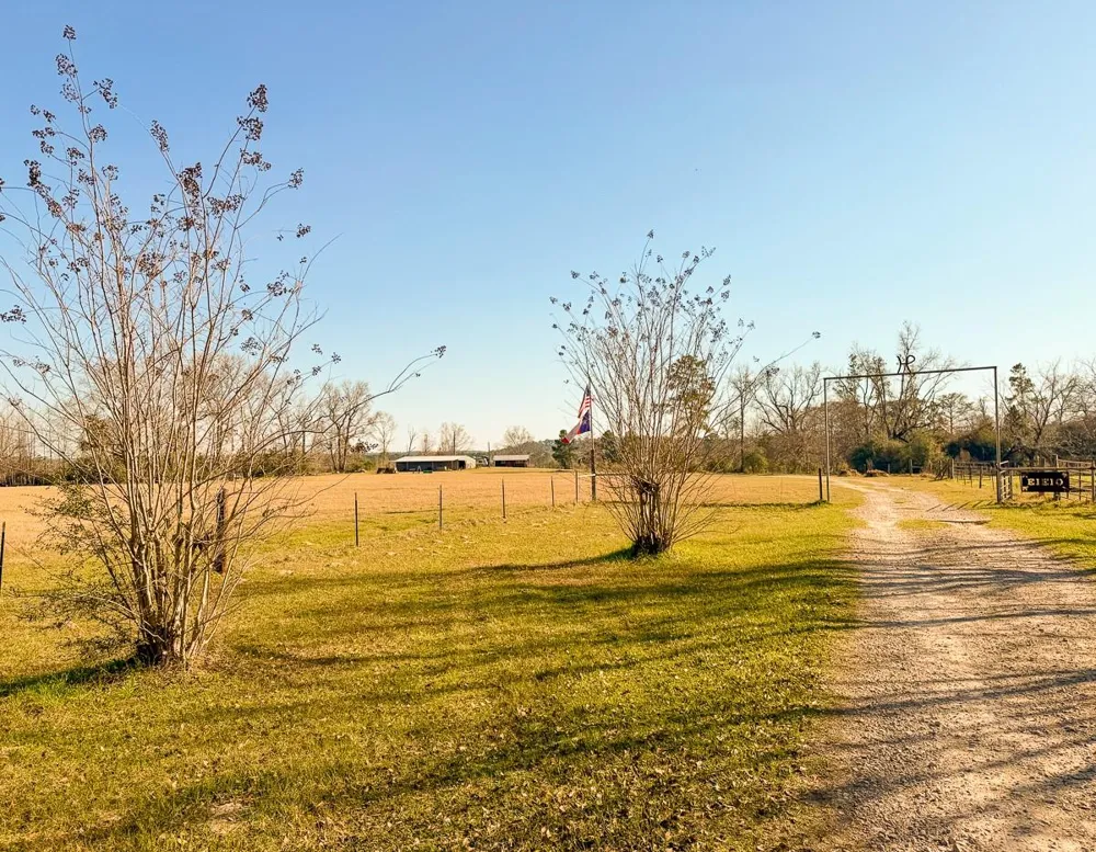 301 Paul Poe Road Livingston, TX 77351