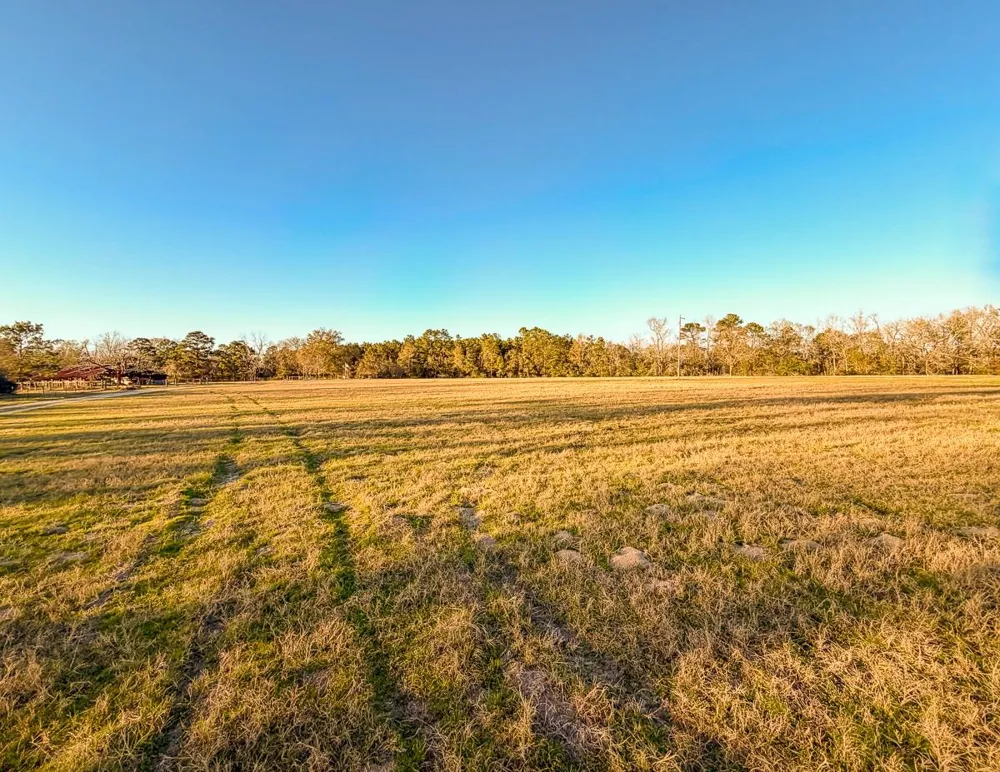 301 Paul Poe Road Livingston, TX 77351
