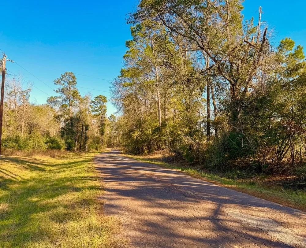 301 Paul Poe Road Livingston, TX 77351