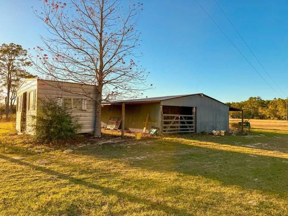 301 Paul Poe Road Livingston, TX 77351