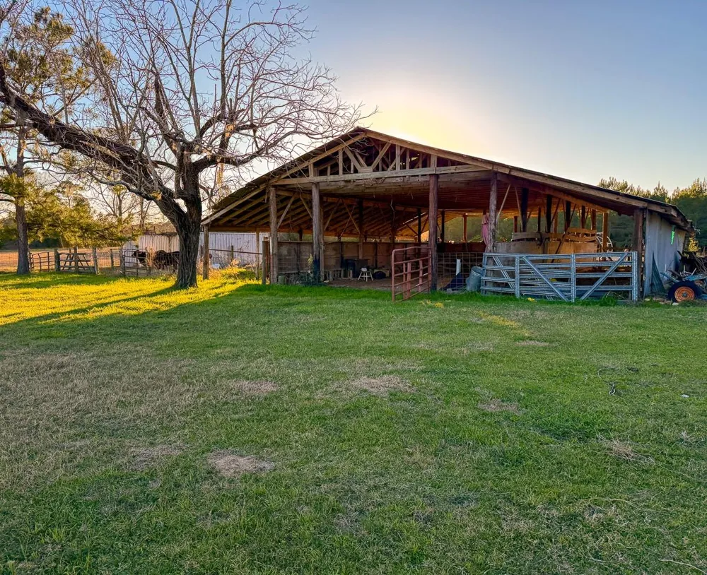 301 Paul Poe Road Livingston, TX 77351