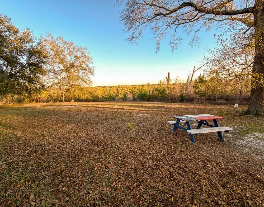 301 Paul Poe Road Livingston, TX 77351