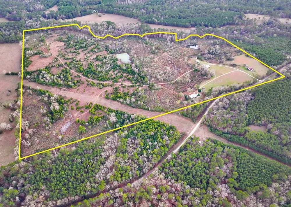 301 Paul Poe Road Livingston, TX 77351