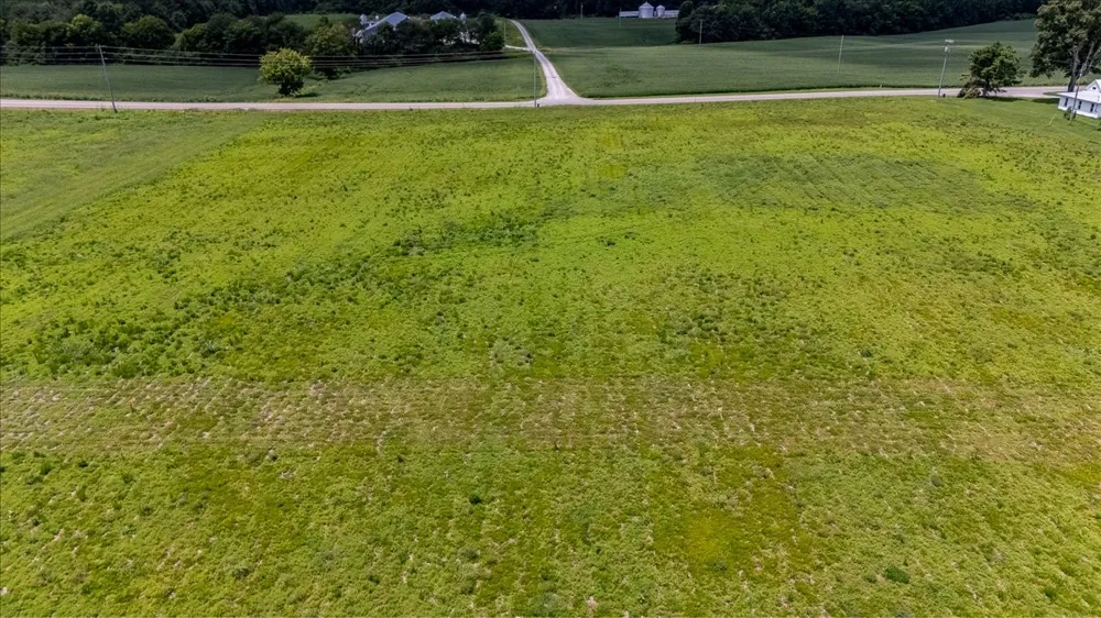0 Rabbit Trail Rd Leoma, TN 38468