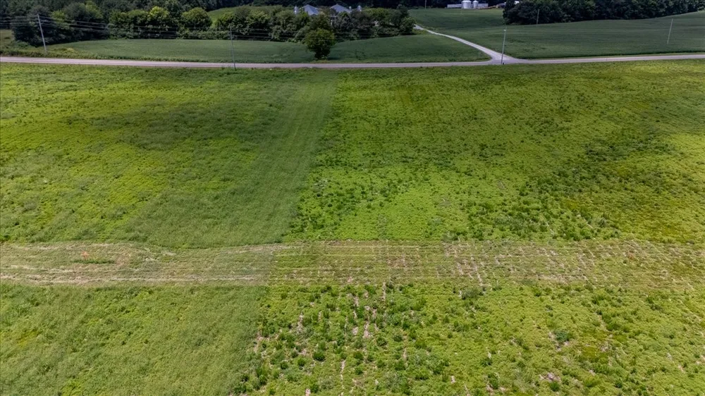 0 Rabbit Trail Rd Leoma, TN 38468