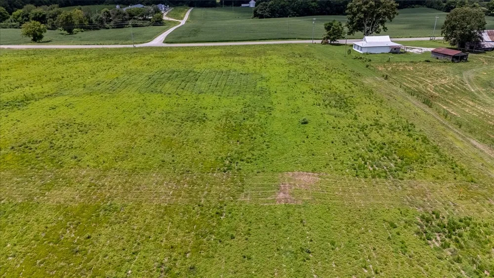 0 Rabbit Trail Rd Leoma, TN 38468