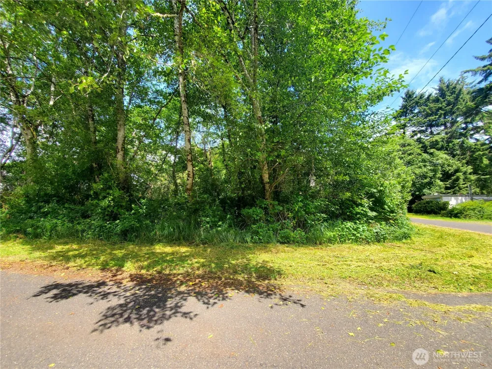 0 Woodland Lane Copalis Beach, WA 98535