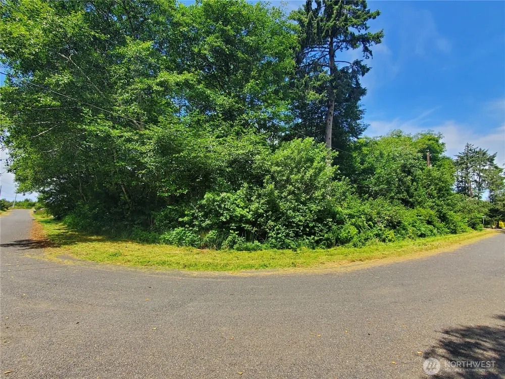 0 Woodland Lane Copalis Beach, WA 98535