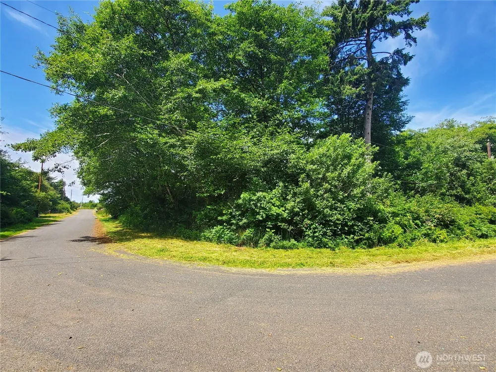 0 Woodland Lane Copalis Beach, WA 98535