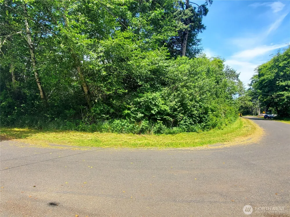 0 Woodland Lane Copalis Beach, WA 98535