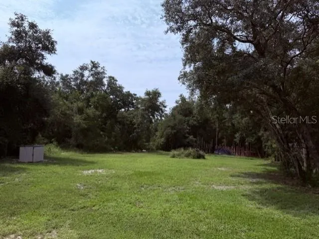 35356 KRAMER STREET Webster, FL 33597