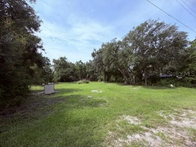 35356 KRAMER STREET Webster, FL 33597