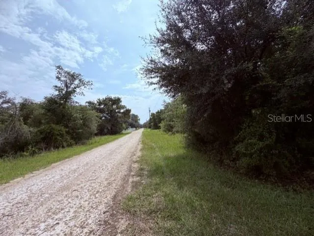 35356 KRAMER STREET Webster, FL 33597