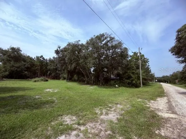 35356 KRAMER STREET Webster, FL 33597