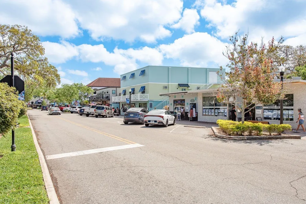 970 VIRGINIA STREET #103 Dunedin, FL 34698