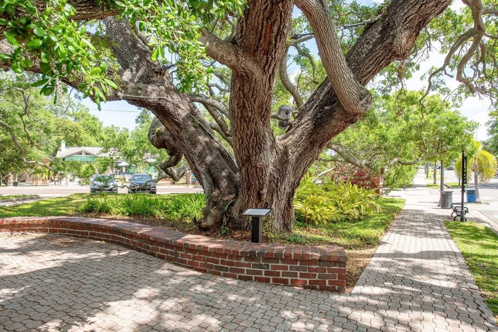 970 VIRGINIA STREET #103 Dunedin, FL 34698