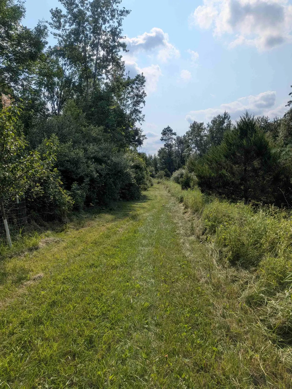 3135 Lee Hill Road Caro, MI 48723