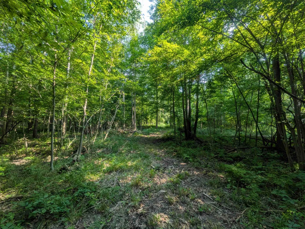 3135 Lee Hill Road Caro, MI 48723