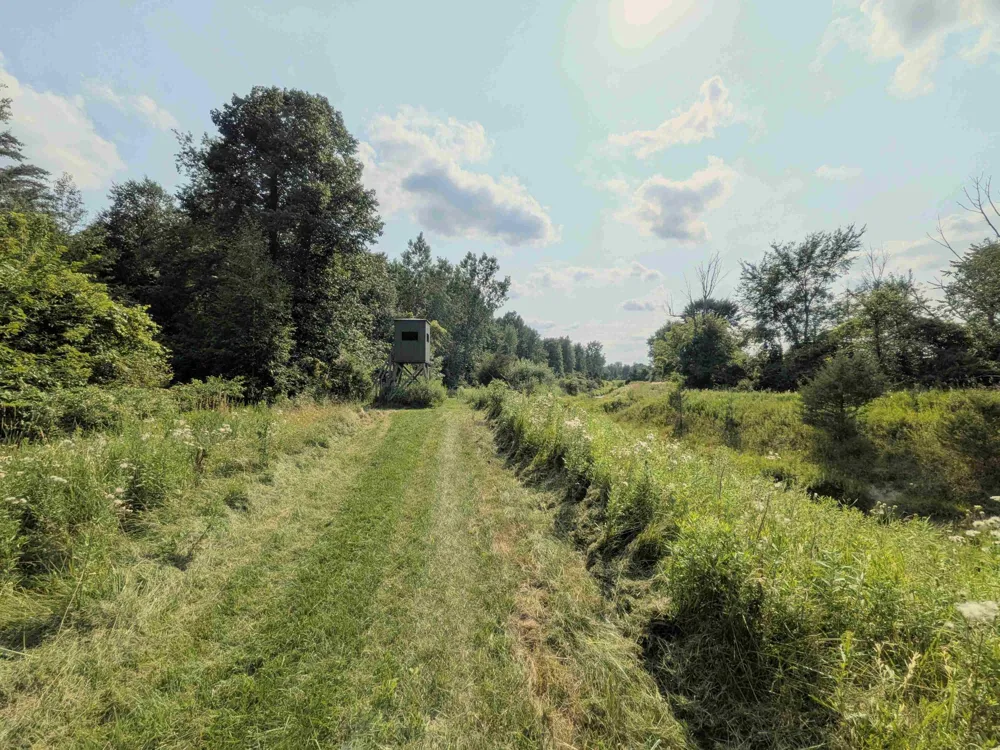 3135 Lee Hill Road Caro, MI 48723