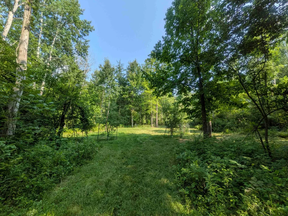 3135 Lee Hill Road Caro, MI 48723