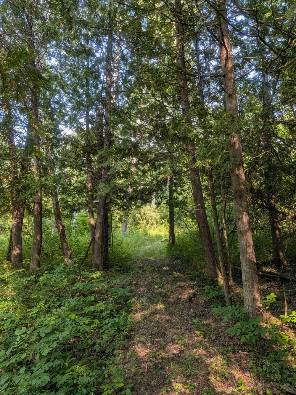 3135 Lee Hill Road Caro, MI 48723