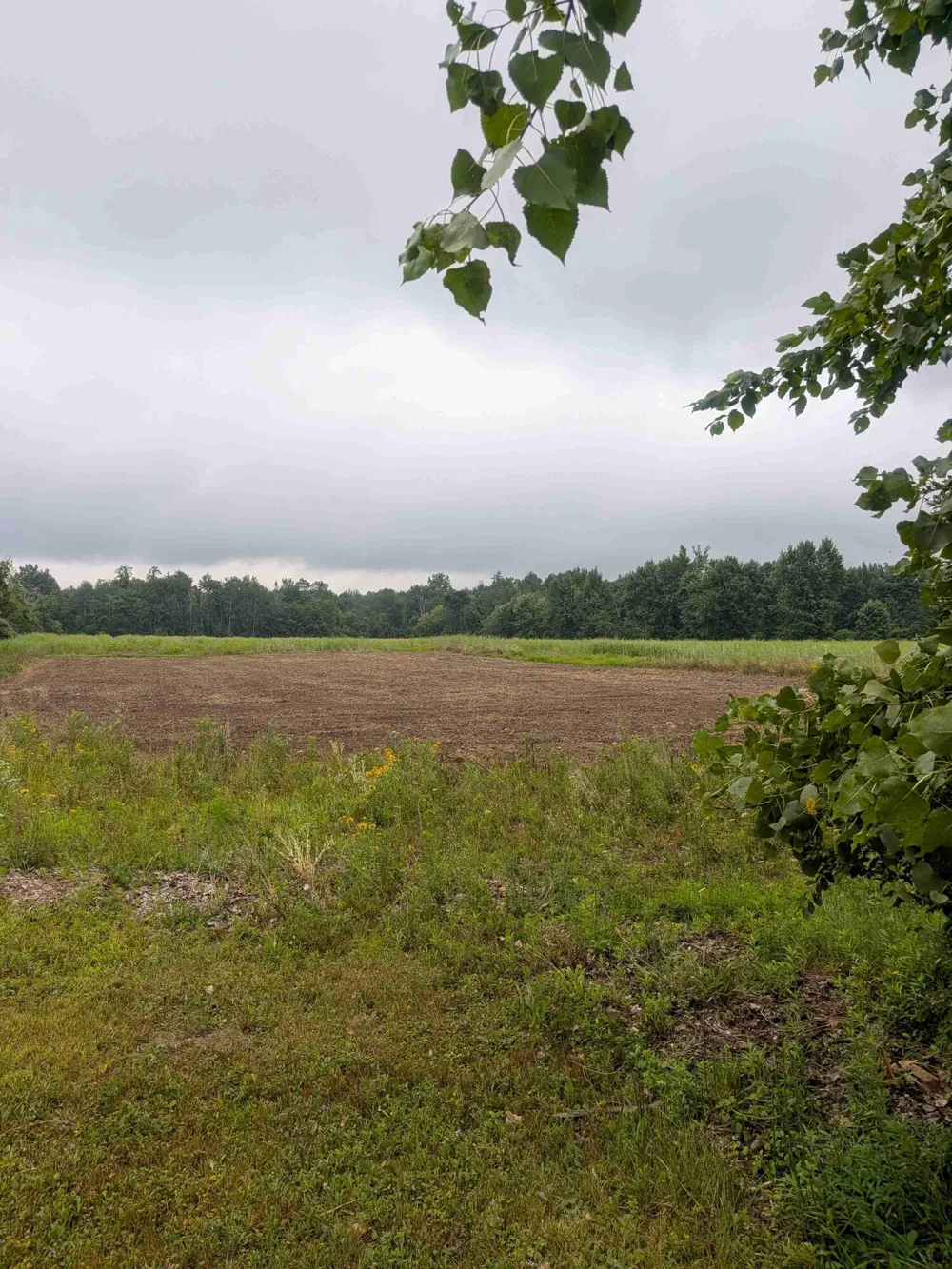 3135 Lee Hill Road Caro, MI 48723