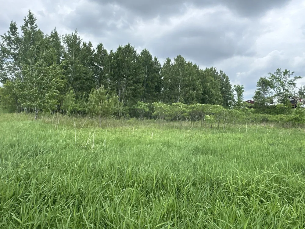 TBD 10 1/2 AVENUE Clayton, WI 54004