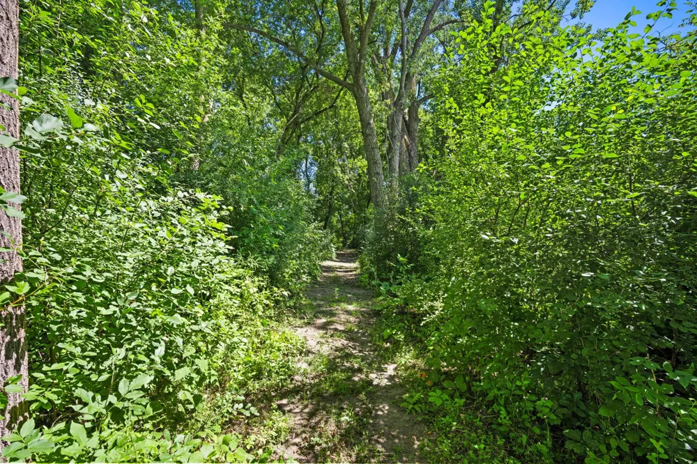 433 County Road 39 NW Monticello, MN 55362