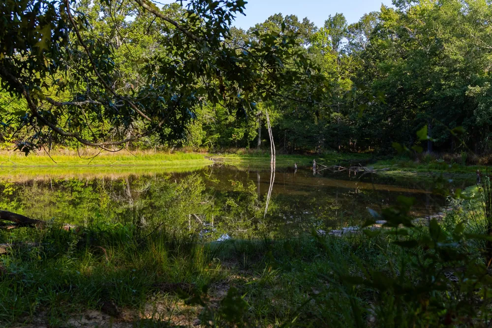 VZ County Road 4912 Ben Wheeler, TX 75754