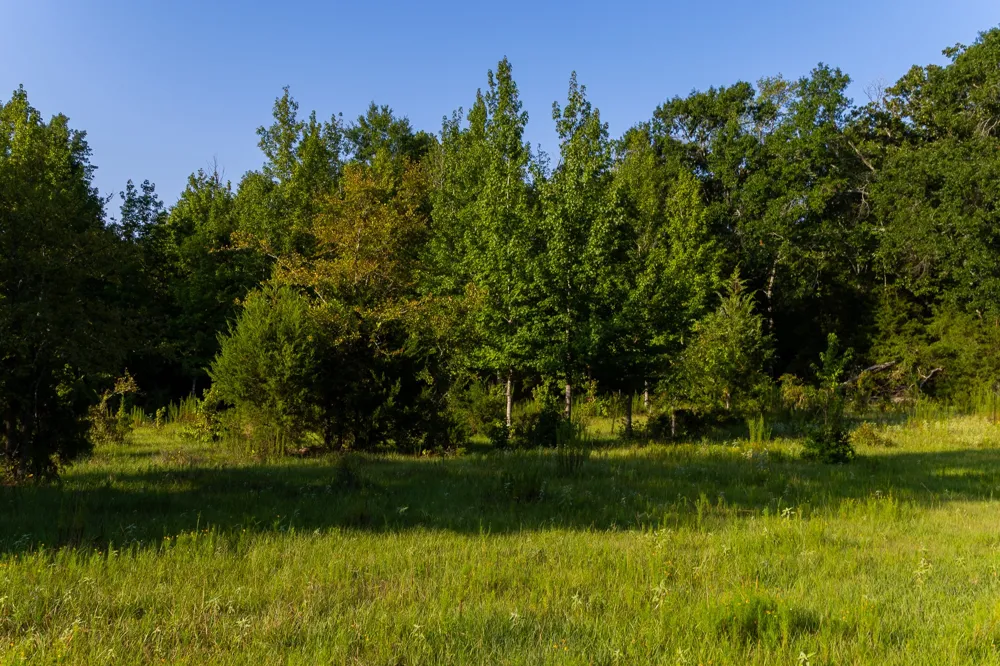 VZ County Road 4912 Ben Wheeler, TX 75754