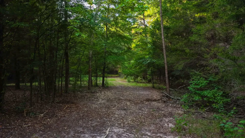 VZ County Road 4912 Ben Wheeler, TX 75754