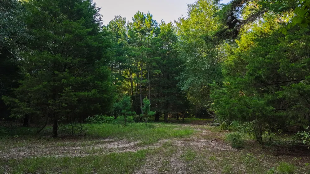 VZ County Road 4912 Ben Wheeler, TX 75754