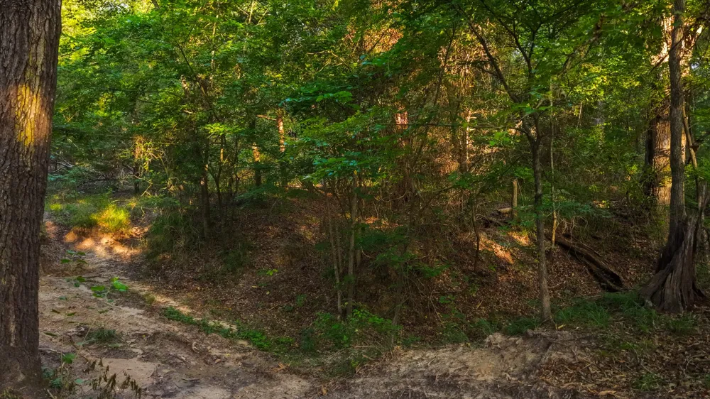 VZ County Road 4912 Ben Wheeler, TX 75754