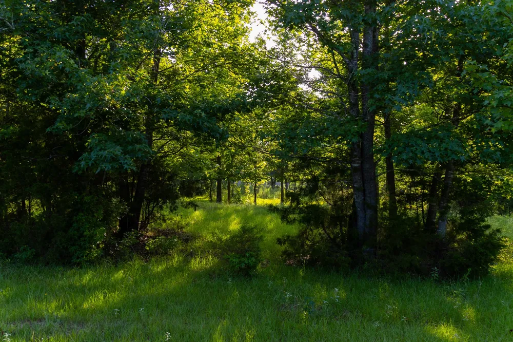 VZ County Road 4912 Ben Wheeler, TX 75754