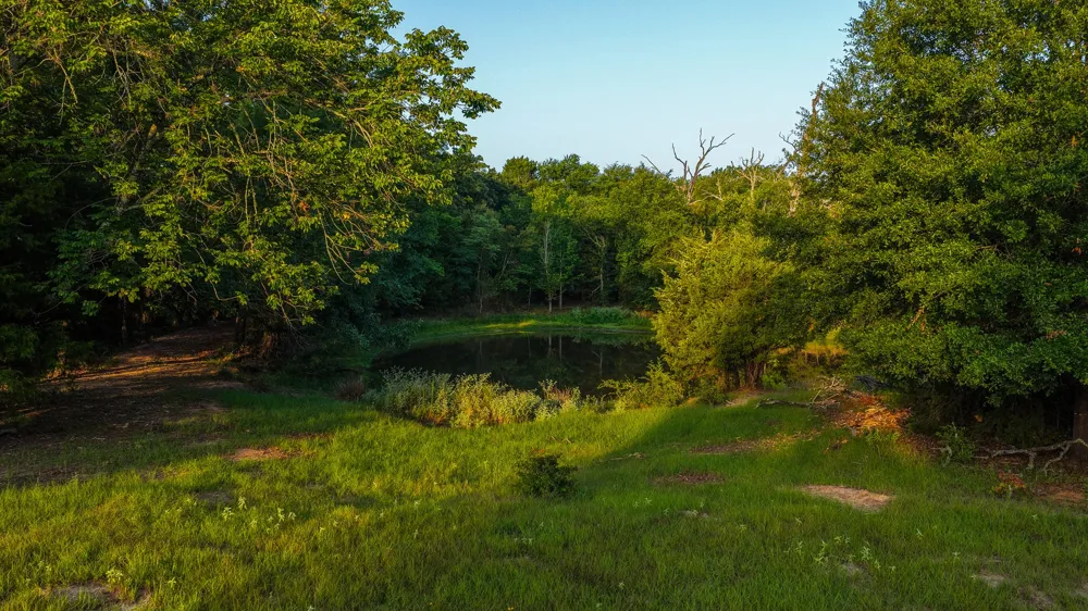 VZ County Road 4912 Ben Wheeler, TX 75754