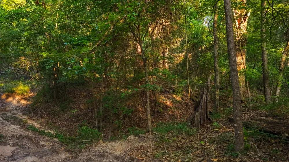 VZ County Road 4912 Ben Wheeler, TX 75754